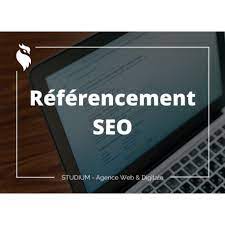 agence web referencement seo