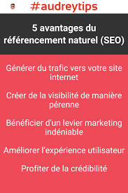 référencement naturel d un site internet