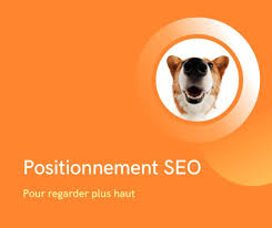 analyse positionnement seo