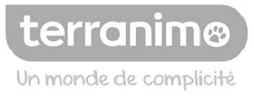 agence referencement payant