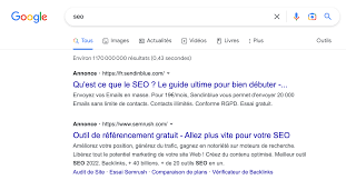 seo france